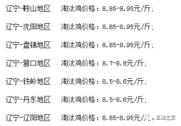 吉林市今天肉鸡最新价格,吉林市今天肉鸡最新价格的深度探讨