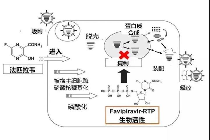 最新台州病毒